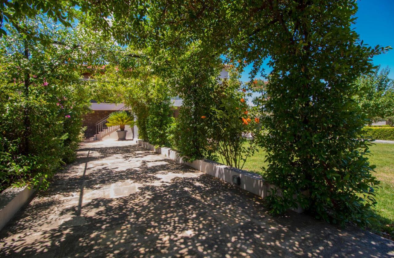 Villa Laconian Collection Magoula *