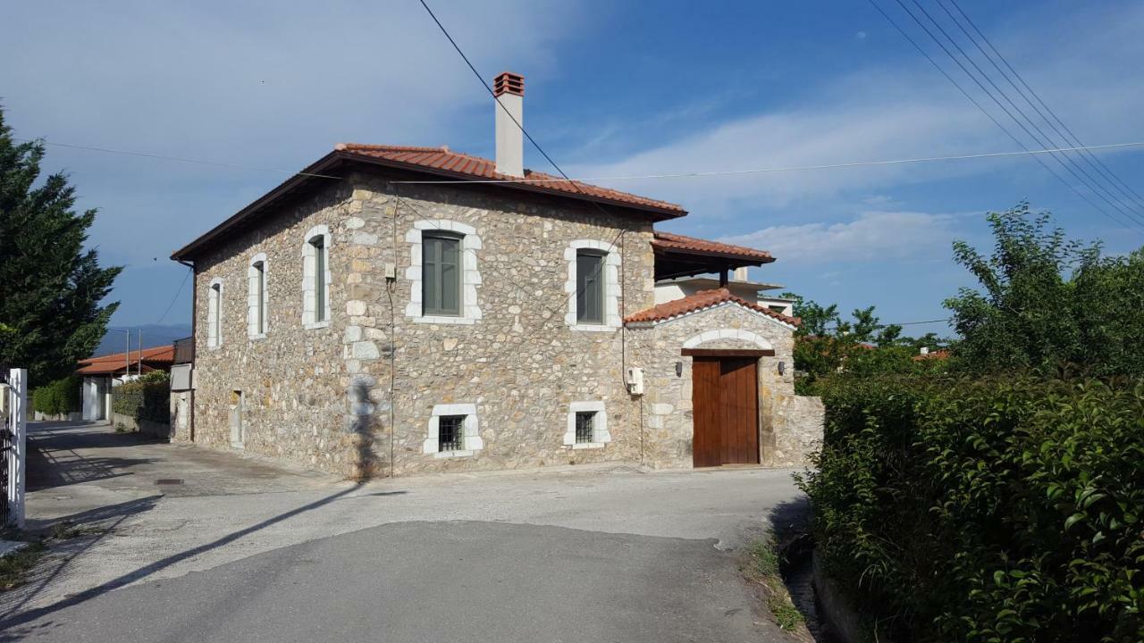 Laconian Collection Magoula * Sparta